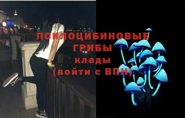 МДМА Богородицк
