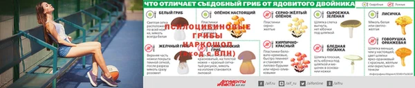 ПСИЛОЦИБИНОВЫЕ ГРИБЫ Беломорск