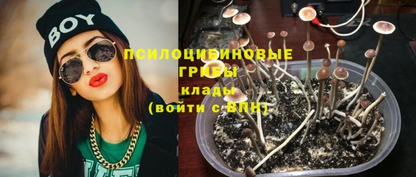 ешки Белокуриха