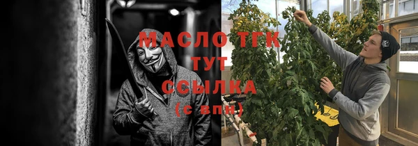 ECSTASY Богданович