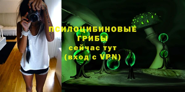 ешки Белокуриха